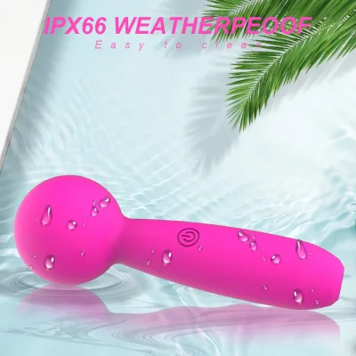 Ignite Me Mini-Wand Vibrator