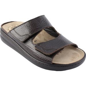 Mephisto James Bruin