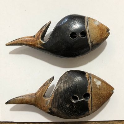 Durango Buttons - Horn Two Tone Fish Button - N69
