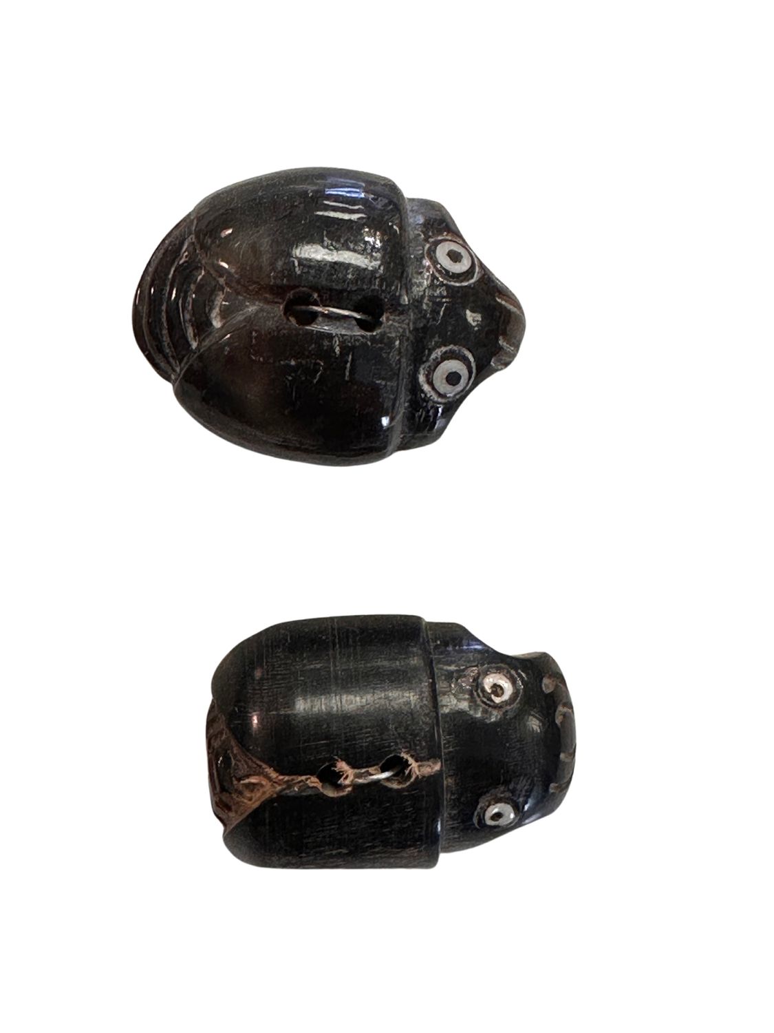 Durango Buttons - Horn Scarab Button - H28, Color: Horn Scarab - H28, Size: 1 1/8&quot; - 28mm