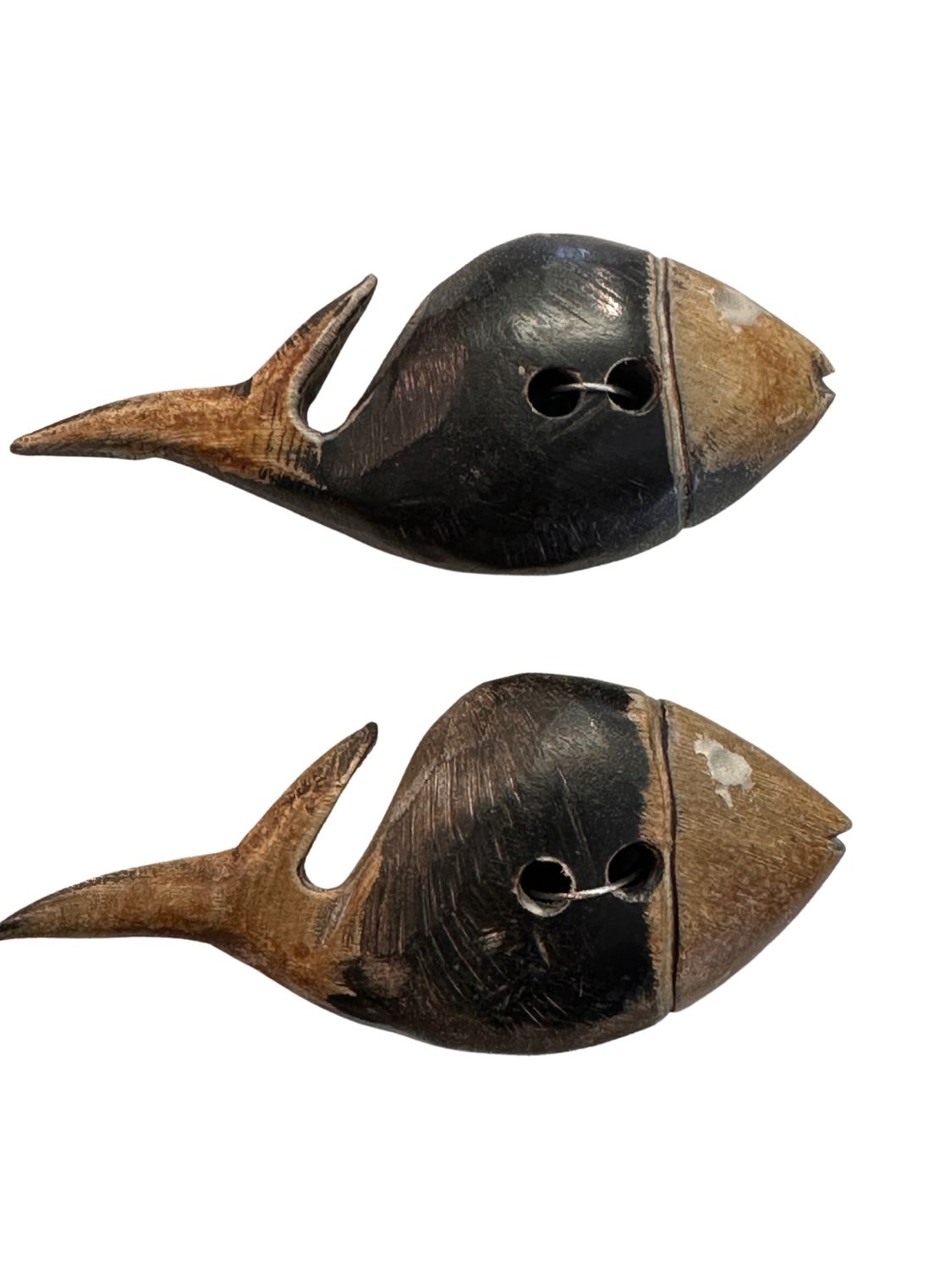 Durango Buttons - Horn Two Tone Fish Button - N69, Color: Two Tone - N69, Size: 3&quot; - 76mm