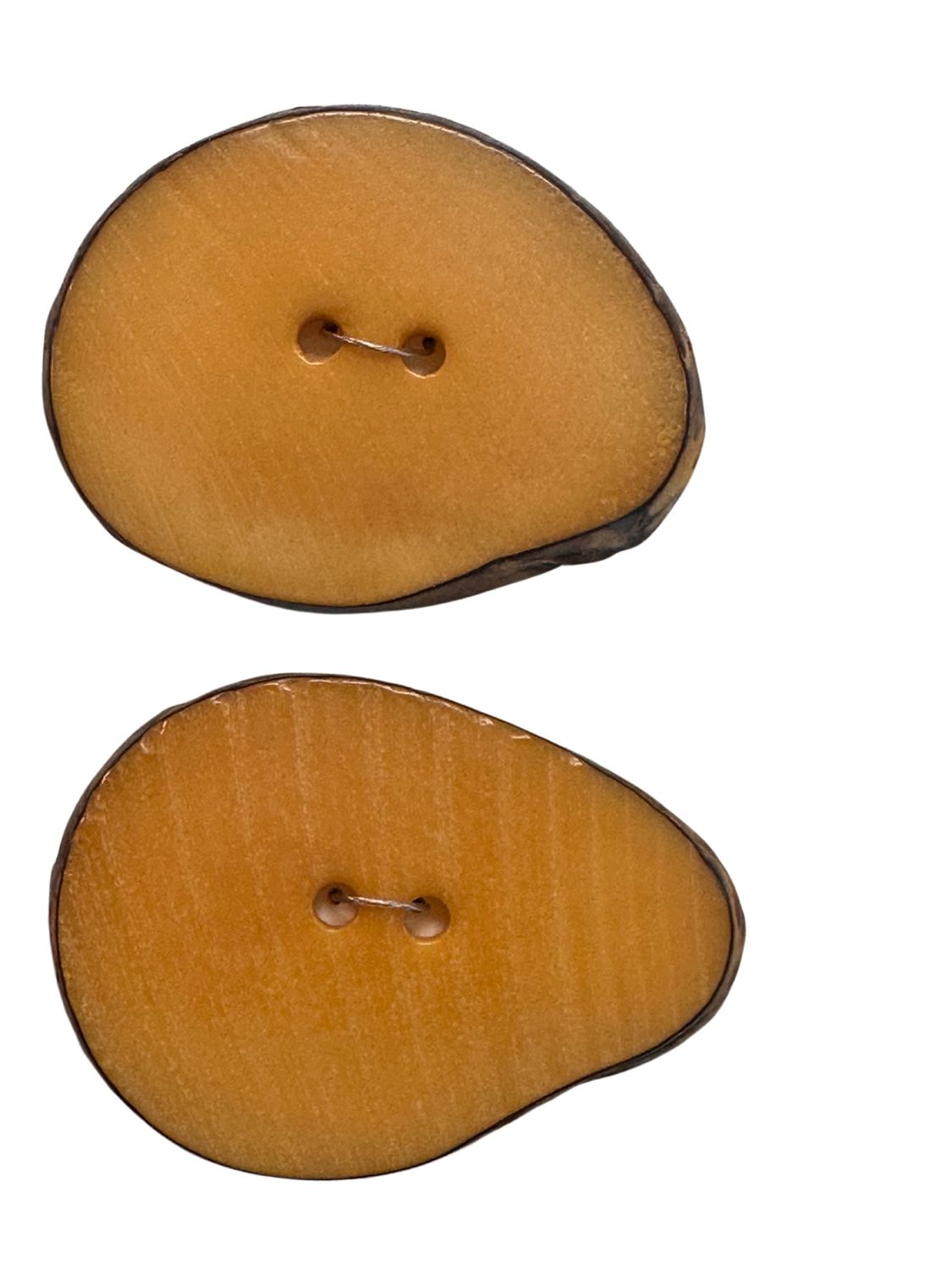 Durango Buttons - Tagua Nut Slice Dyed Pumpink Button - T12, Color: Pumpkin, Size: Medium