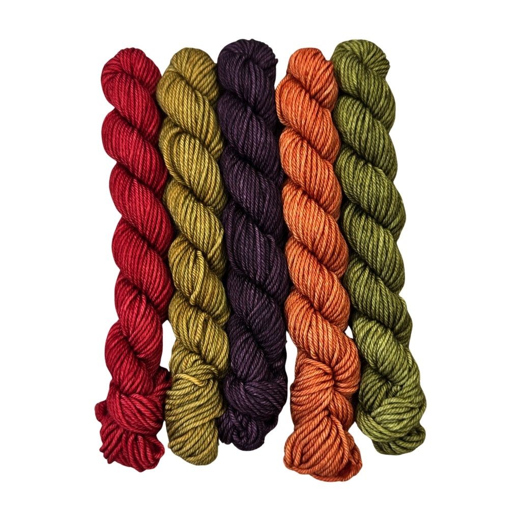Fuzzy Fiberz - Mini Fade Set - 5 Skeins