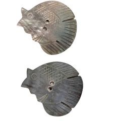 Durango Buttons - Shell Blue Angel Fish Button - K135B