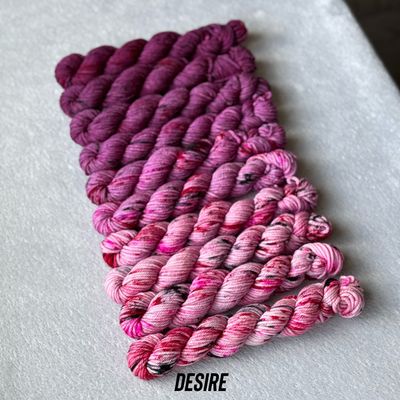 Mini Fade Set - 10 Skein - Worsted - Desire