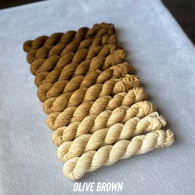 Fuzzy Fiberz - Mini Fade Set — 10 Skeins