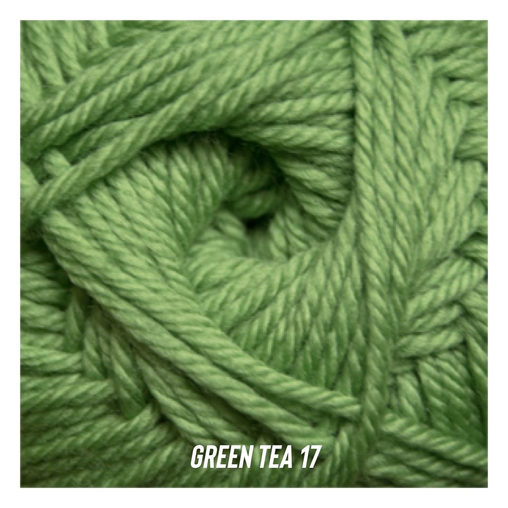 Cascade - 220 Superwash Merino, Color: Green Tea 17, Weight: Worsted