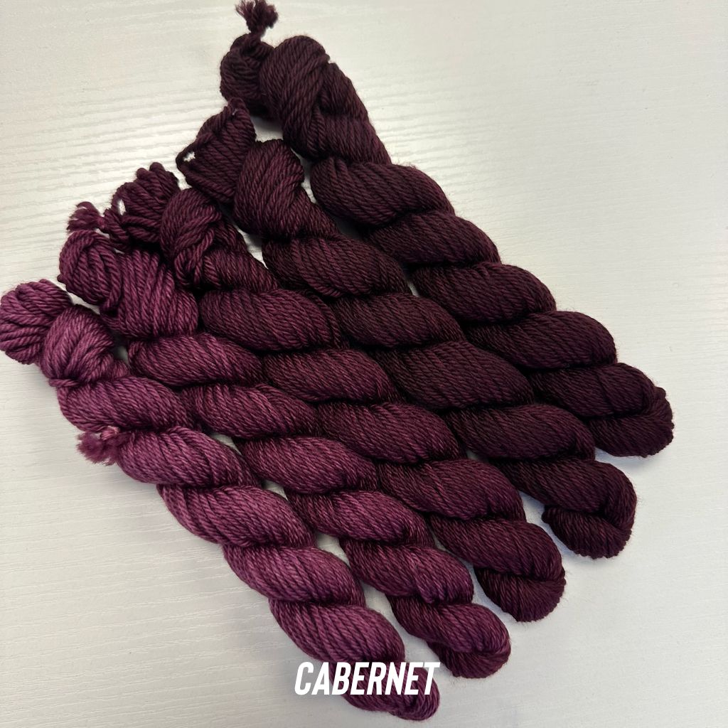 Fuzzy Fiberz - Mini Fade Set 5 skeins - Worsted