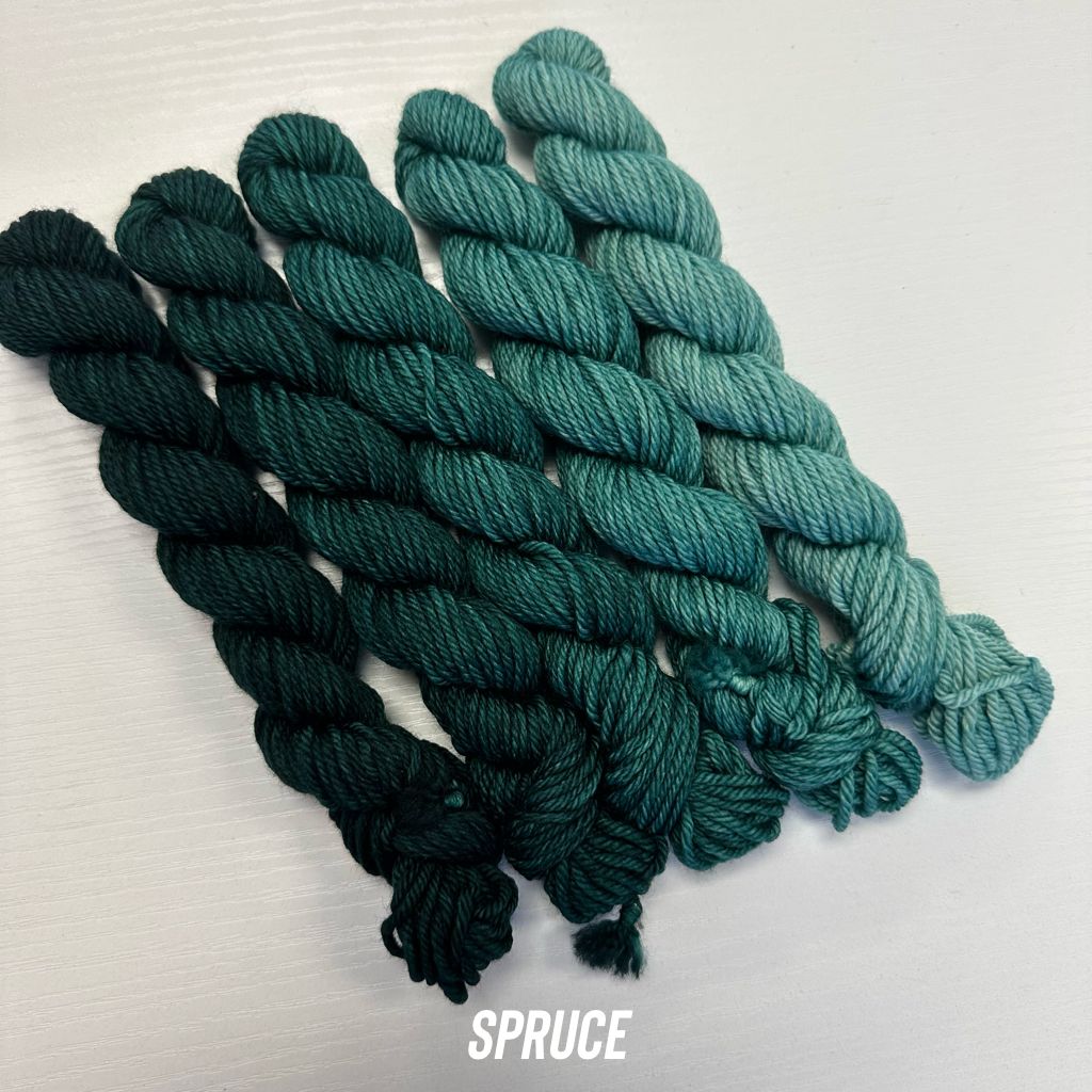 Fuzzy Fiberz - Mini Fade Set 5 skeins - Worsted