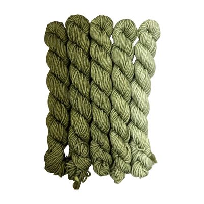 Fuzzy Fiberz - Mini Fade Set - 5 Skeins
