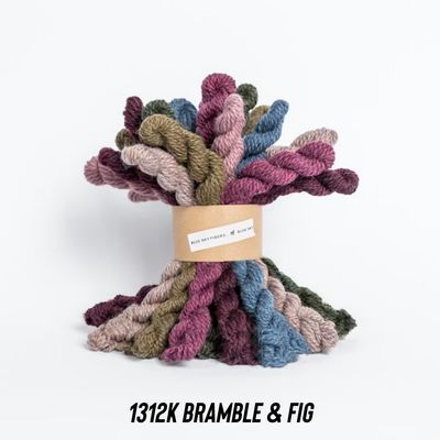 Blue Sky Fibers - Woolstok Bundle Kit