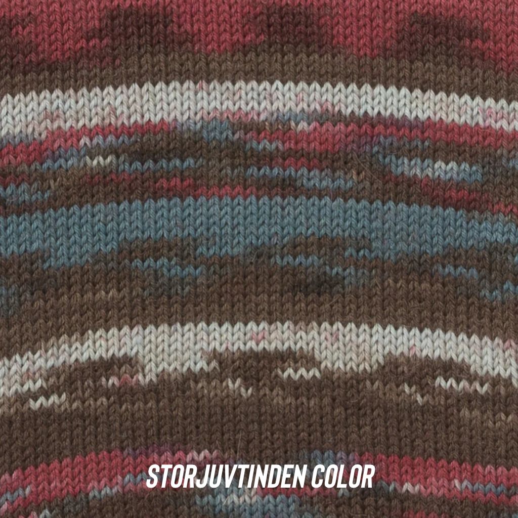 Arne &amp; Carlos Socks &amp; More 4Ply
