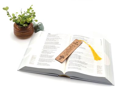 Boekenlegger