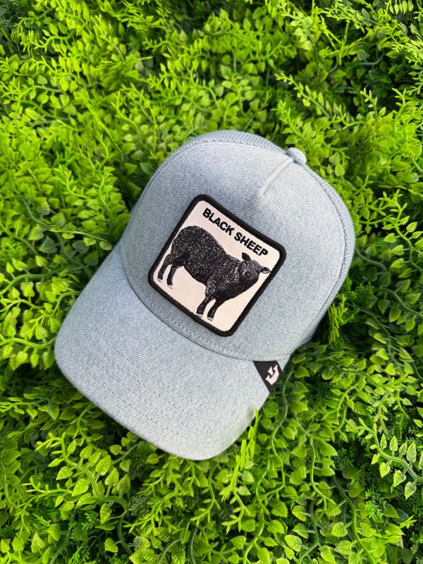Cappellino Goorin Bros "Black Sheep"