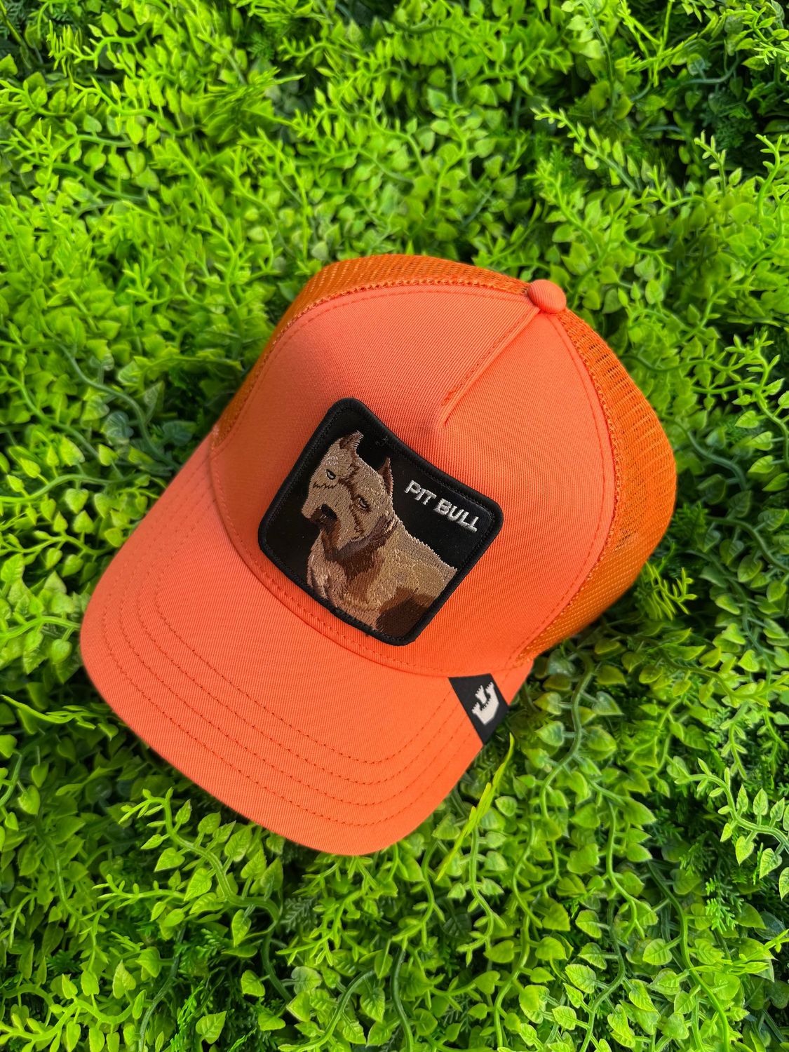 Cappellino Goorin Bros "Pitbull"