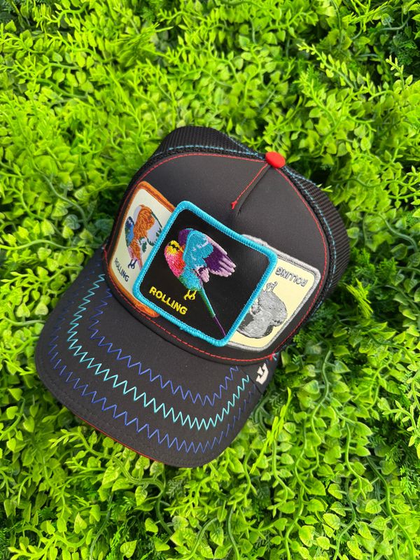 Cappellino Goorin Bros "Rolling" LIMITED EDITION