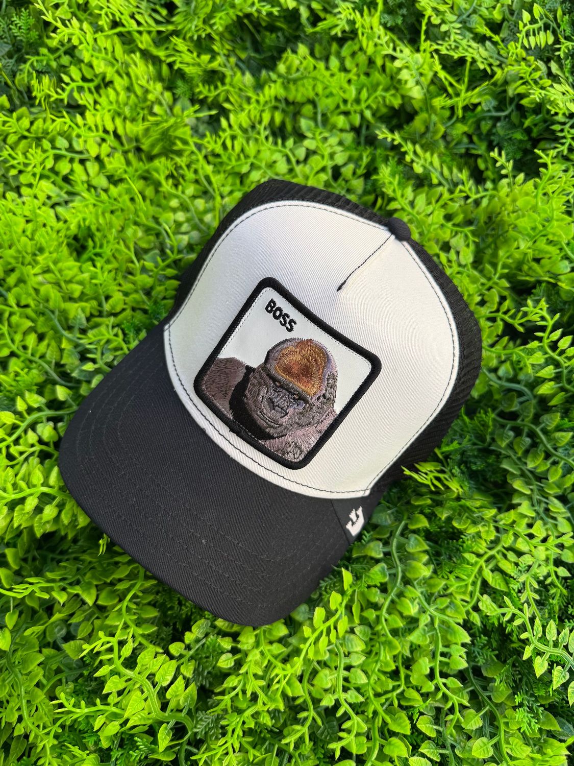 Cappellino Goorin Bros "Boss"