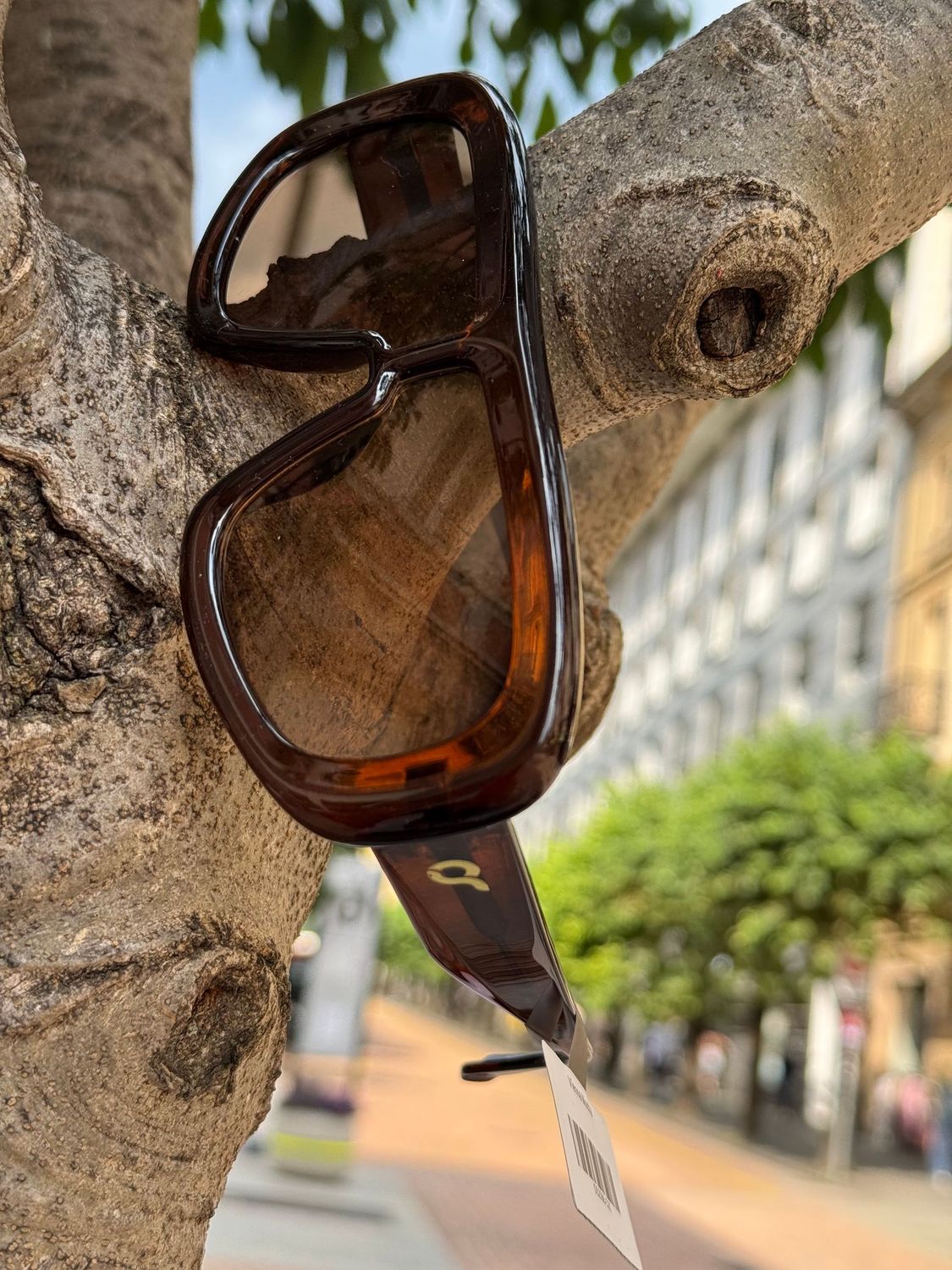 Occhiali da sole OS Sunglasses Vienna mocha