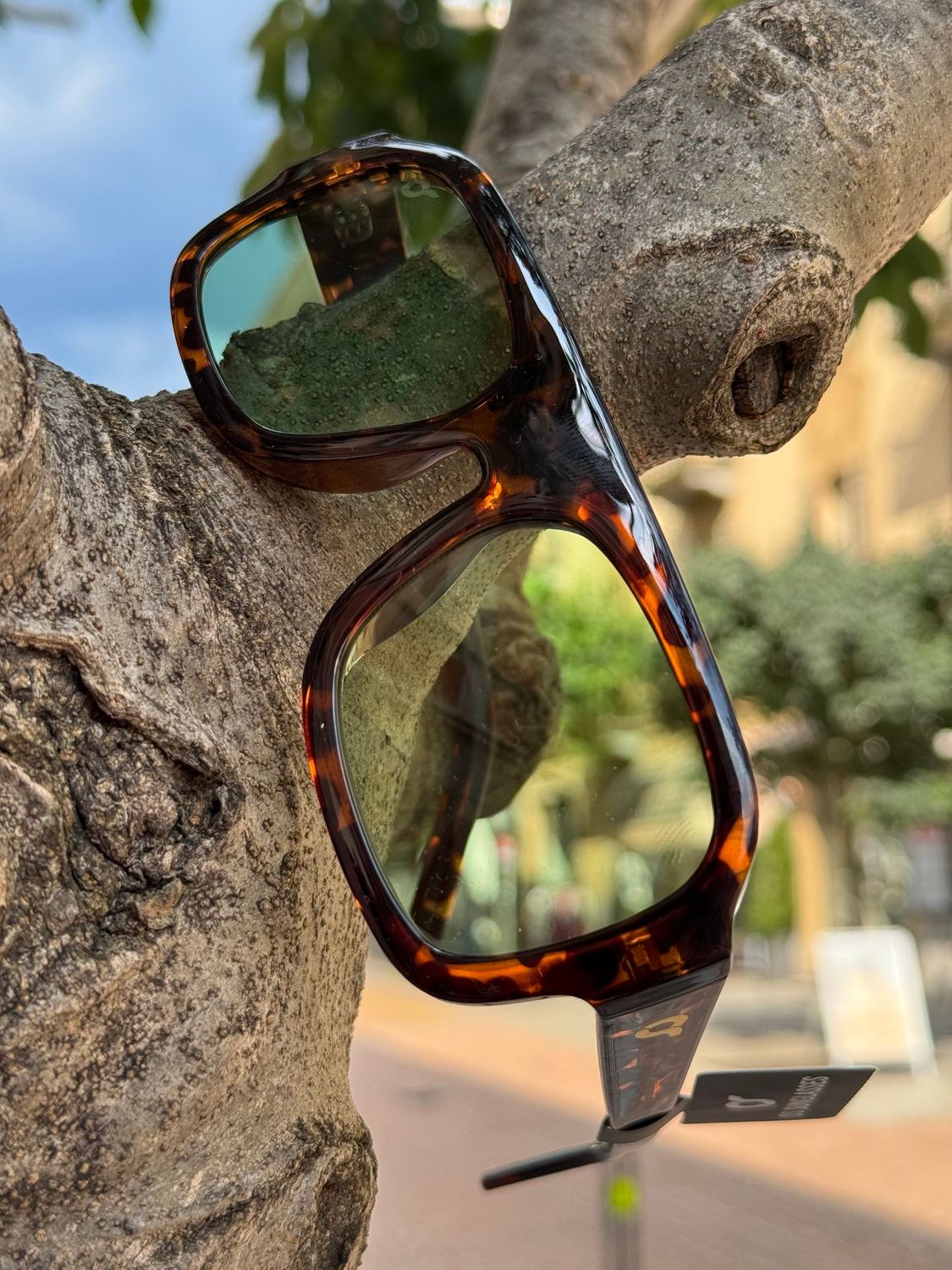 Occhiali da sole OS Sunglasses Roma tartarugato verde