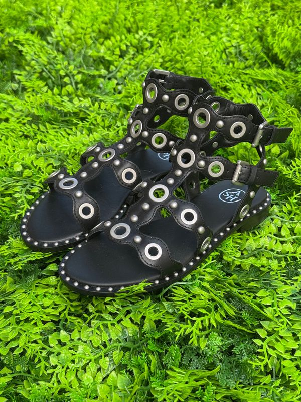 ASH Pop Up Black