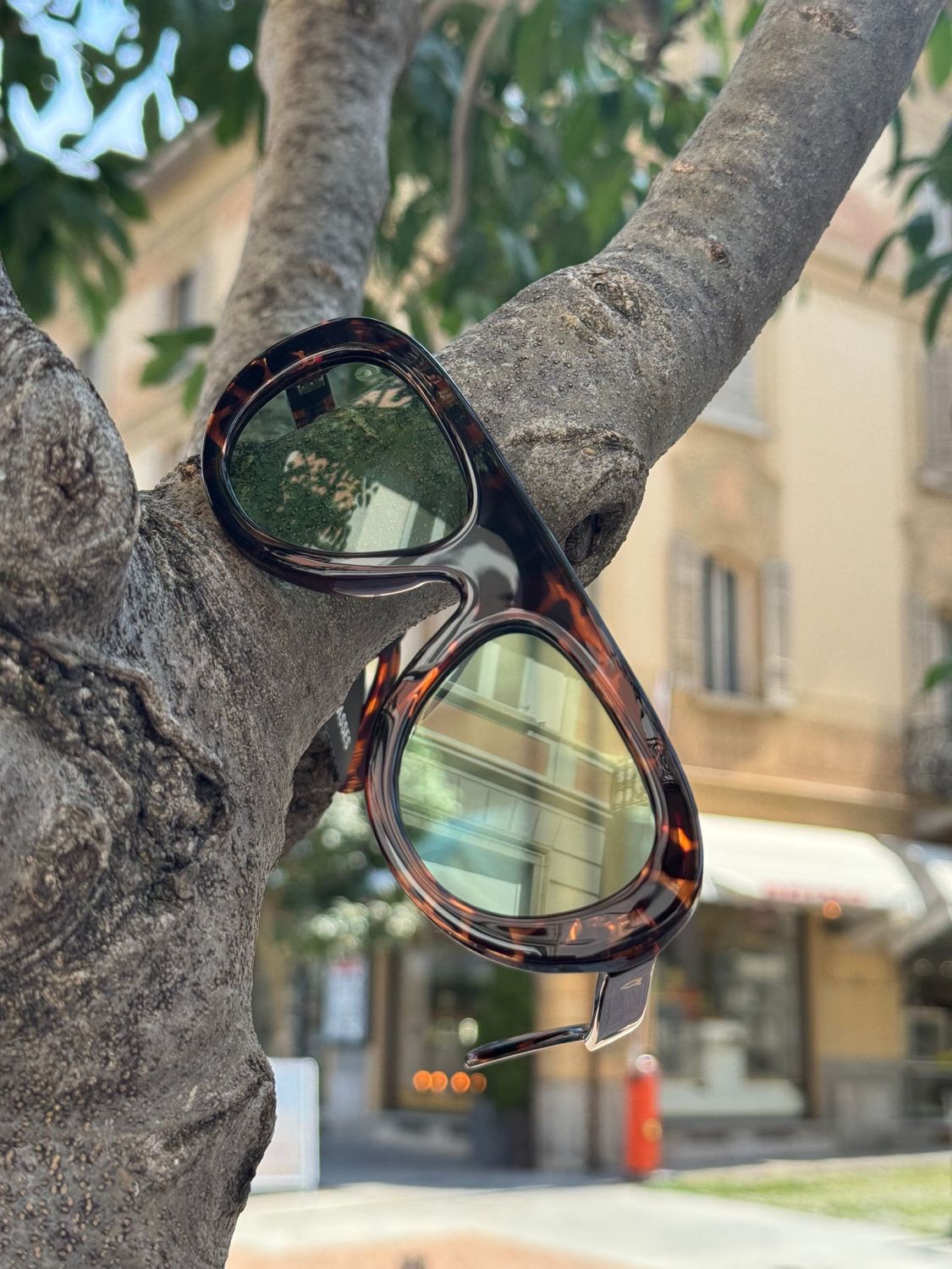 Occhiali da sole OS Sunglasses Lima Tartarugato verde