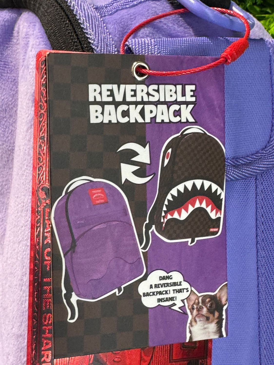 BACKPACK Inverted Shark Pocket