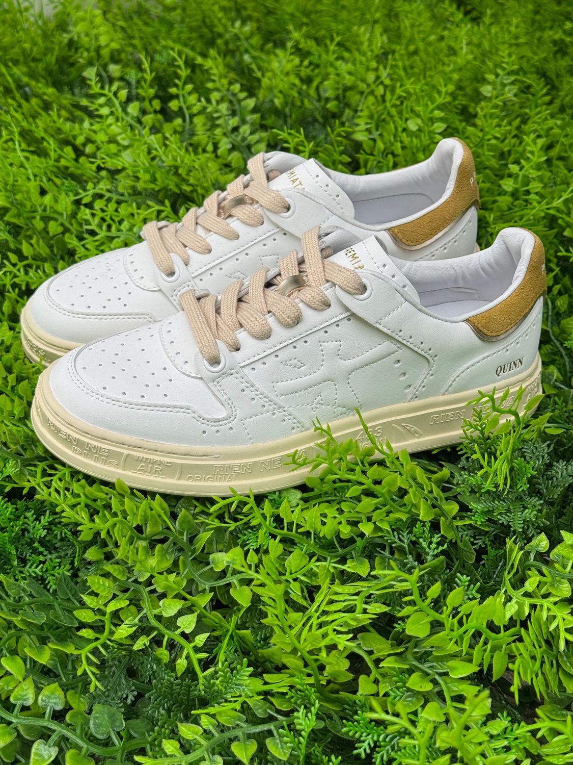 PREMIATA QUINND SENAPE