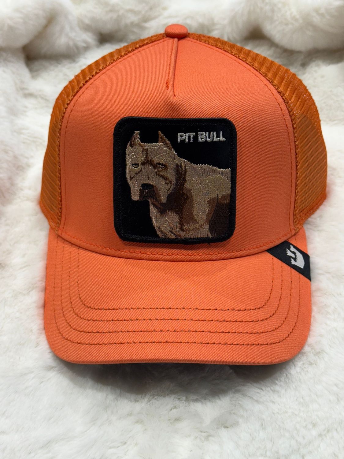 GOORIN BROS Cappellino Pit Bull