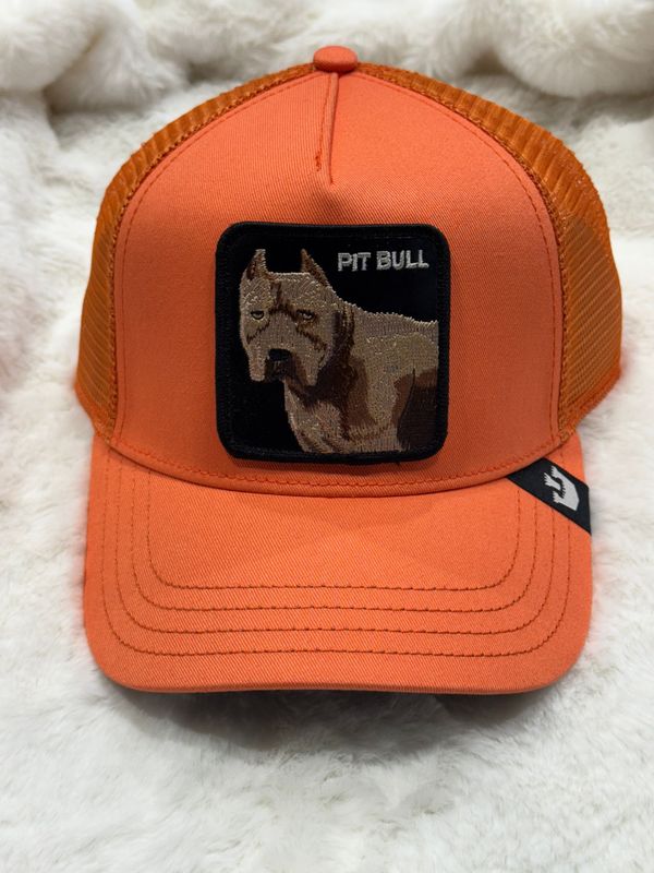 GOORIN BROS Cappellino Pit Bull