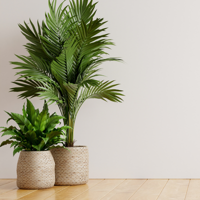 Decoración y Ambientación