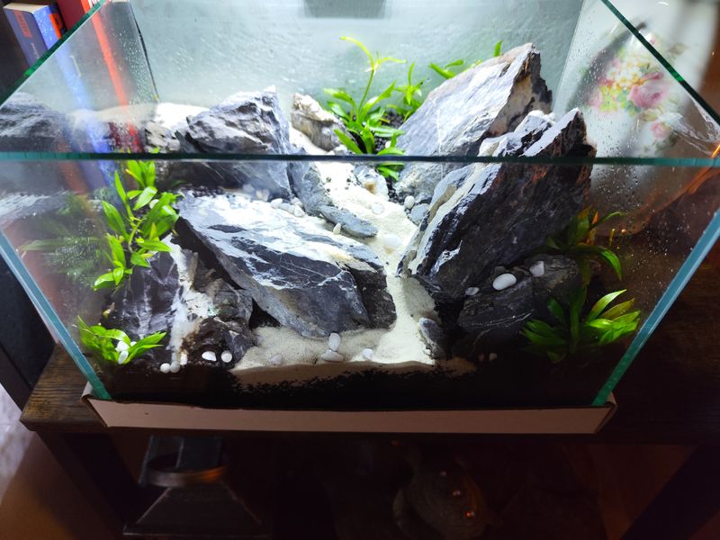 12 Liter Nano-Cube (Iwagumi Style) Komplettpaket