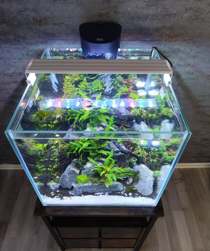 64 Liter Nano Cube Komplettpaket