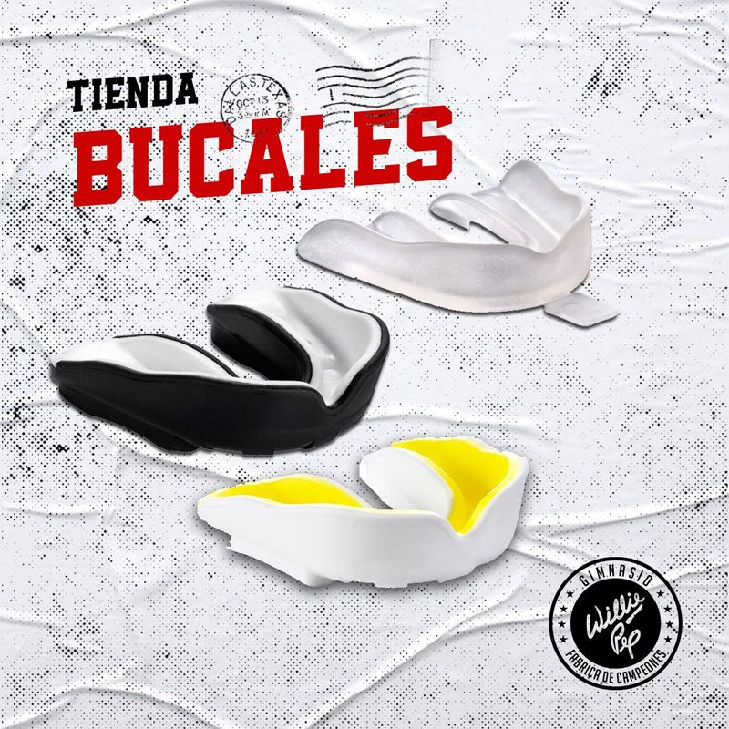 Bucales