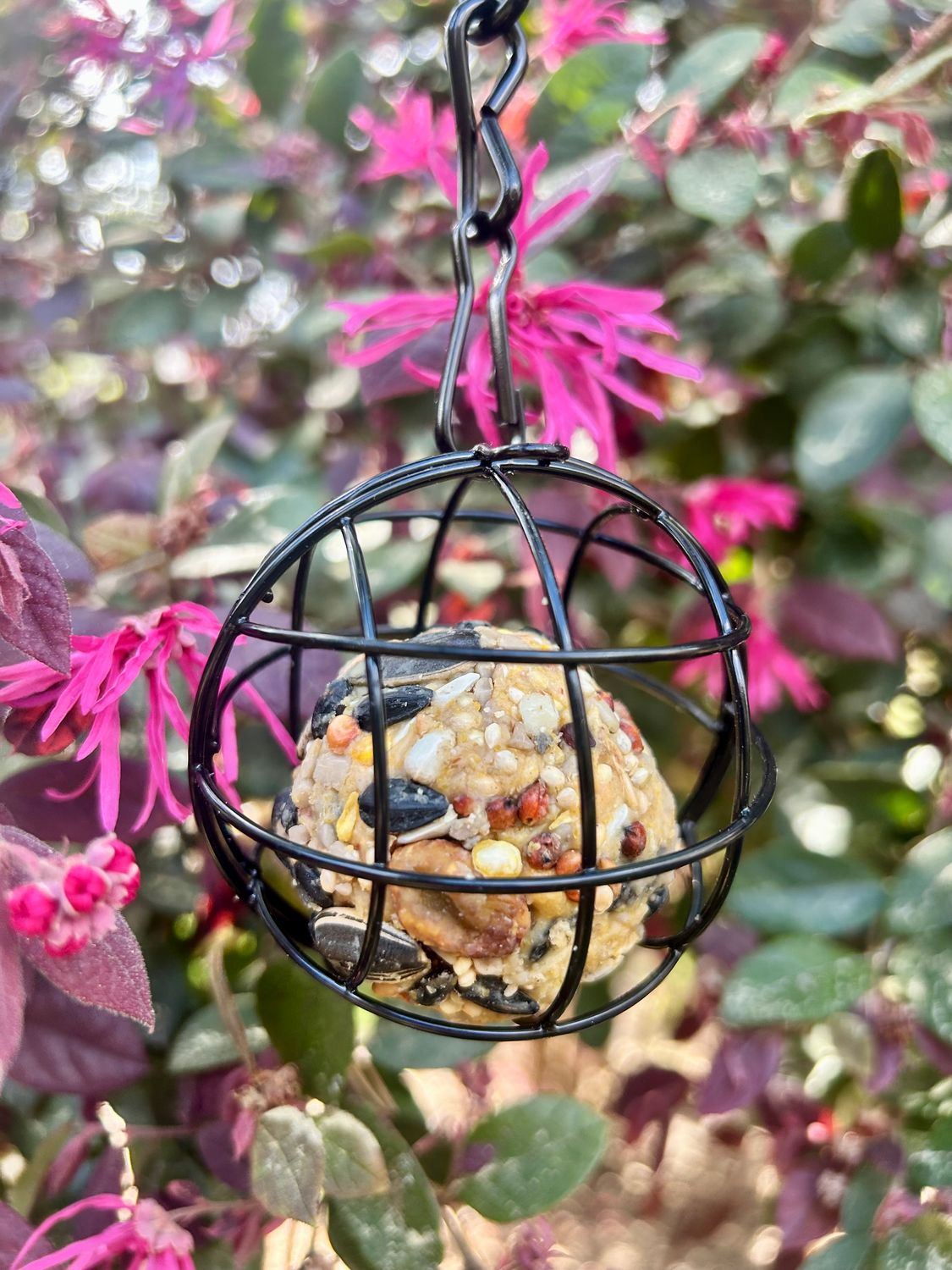 Lovey's Bird Bite Feeder