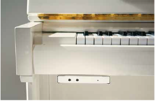 Bechstein Vario System