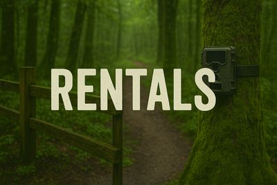 Rentals
