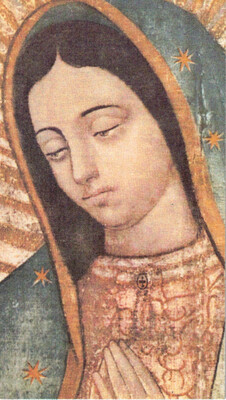 Magnet - Our Lady of Guadalupe