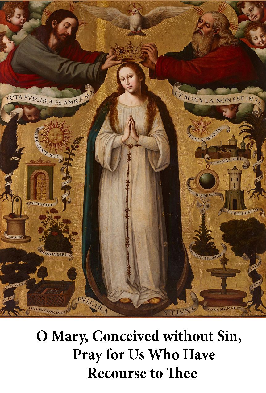 Holy Card Current Novena