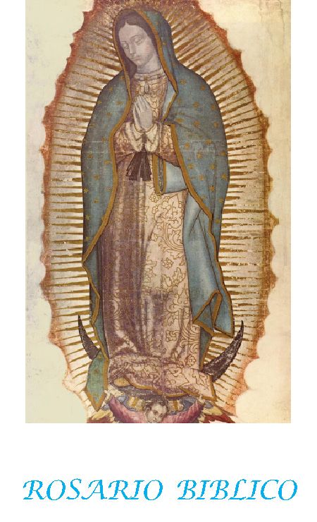 ROSARIO BIBLICO EPUB