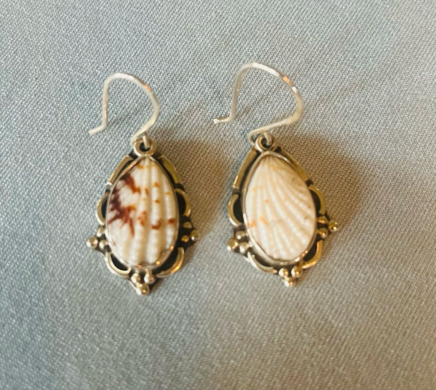Natural Shells in Elegant Setting Earrings