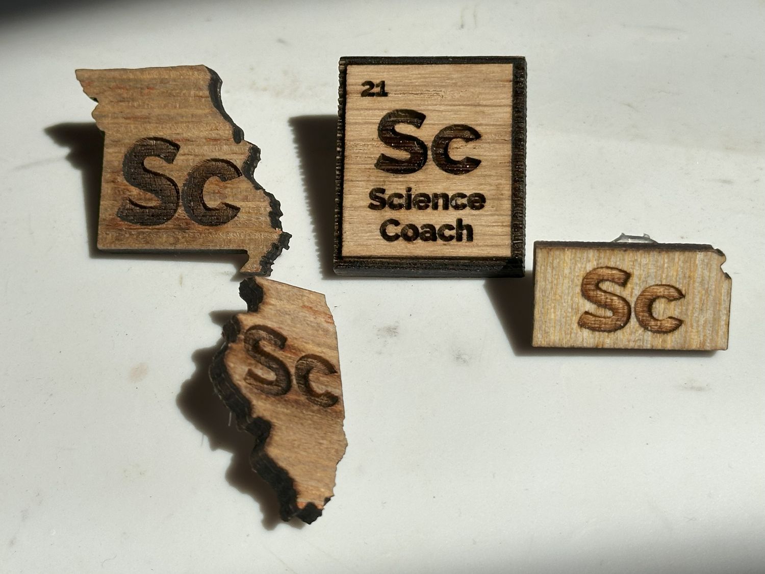 ISEF State Trading Pins