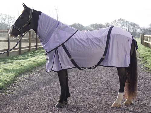 Rhinegold Fly Rug 00000