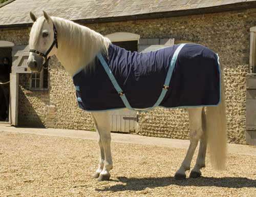 Cotton Summer sheet