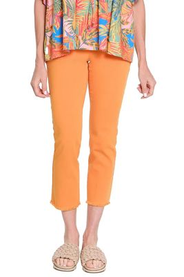 TL-4 Way Stretch Pull-On Jean