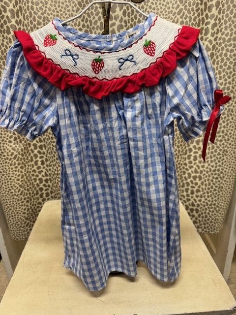 Rylee-Faith-Blue Check Strawberry Dress