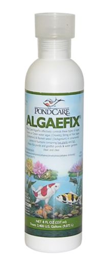 API Pond Algaefix, Algae Control Solution, 8-Ounce