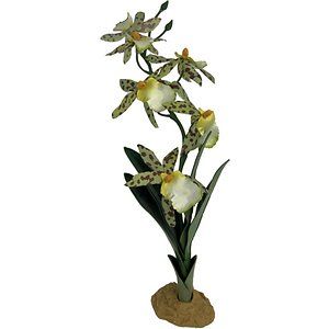 Komodo Orchid Plant with Gravel Base for Aquarium  Reptile or Fish Tank  Silk  14 inches Tall