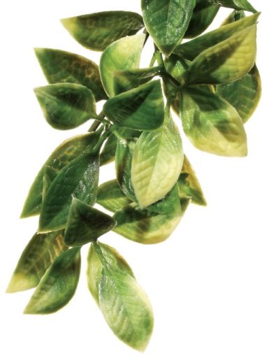 Exo Terra Plastic Terrarium Plant  Large  Mandarin