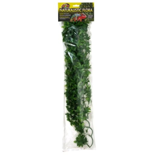 Premium Congo Ivy Terrarium Plant - Naturalistic Flora for Reptile Habitats