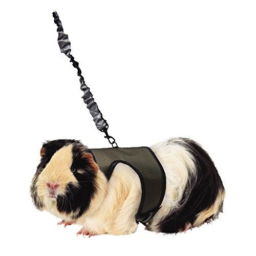 Kaytee Comfort Harness &amp; Stretchy Stroller  Large